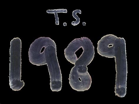 1989 album logo | Logotipo del álbum de Taylor Swift | César Jonel | Flickr