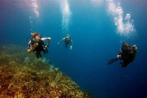 Catalina Island Diving