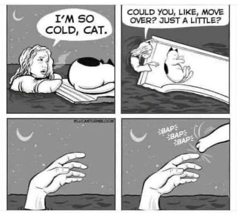 Top 74+ imagen titanic cat meme - abzlocal fi