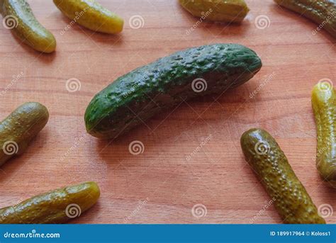 Small Pickles and One Large Fresh Cucumber on a Wooden Background Stock ...