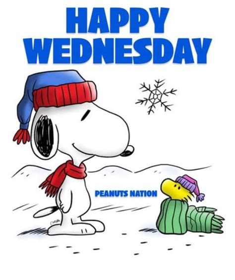 Happy Wednesday | Funny cartoon quotes, Happy wednesday, Wednesday humor