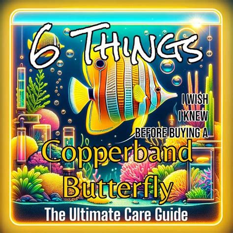 6 Things I Wish I Knew Before Buying a Copperband Butterfly: The Ultim