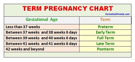 Gestational Age Calculator & Term Chart - Gestation Periods