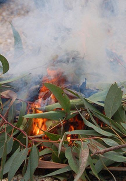 smoking ceremony. Numbuk yabbun, are very important to Aboriginal culture. When entering or ...