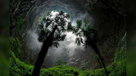 Giant sinkhole with a forest inside found in China | Live Science