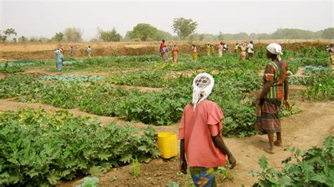 Agroecology in Burkina Faso