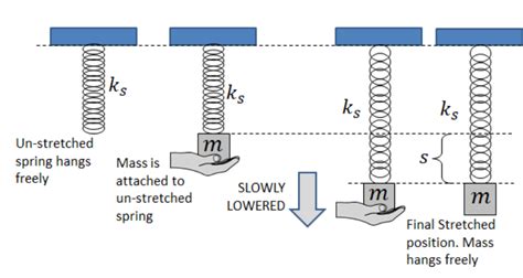 Solved A spring, stiffness constant, ks hangs vertically | Chegg.com