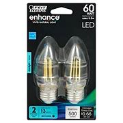 Feit Electric Enhance A15 40-Watt LED Light Bulbs - Daylight - Shop Light Bulbs at H-E-B