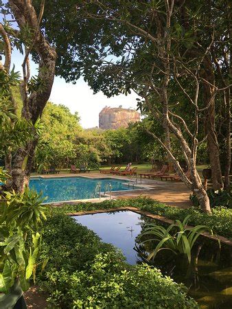 SIGIRIYA VILLAGE HOTEL - Updated 2018 Prices & Reviews (Sri Lanka) - TripAdvisor