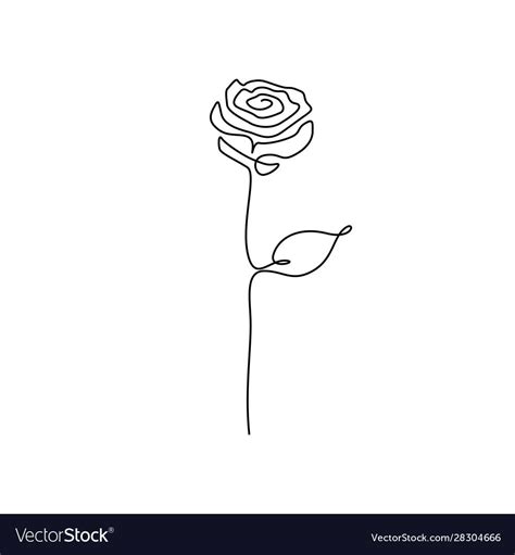 Continuous one line rose flower. Vector illustration. Download a Free ...