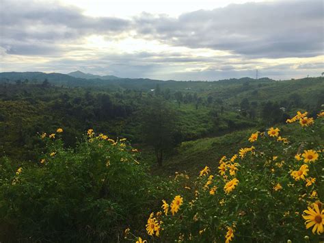 Pyin oo lwin, Myanmar. Favorite town so far🌲🌼 Pyin Oo Lwin, Towns, Environment, River, Mountains ...