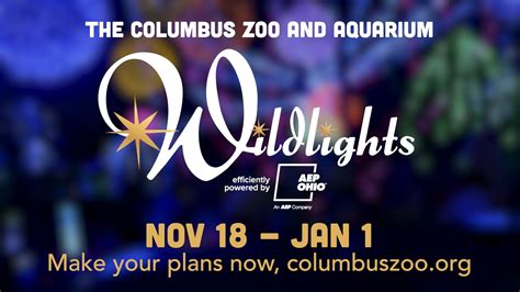 Wildlights at the Columbus Zoo and Aquarium | 🎄Today’s the start of ...