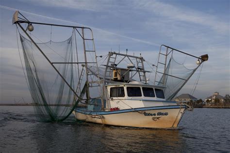 NOAA finalizes TED rule for shrimp skimmer trawls | National Fisherman