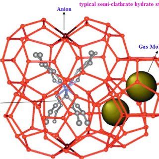 Typical semi-clathrate hydrate structure | Download Scientific Diagram