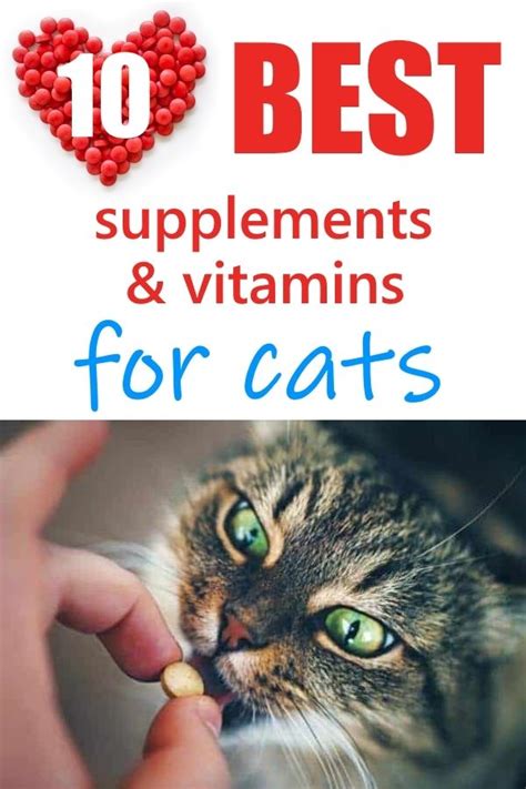 Best Supplements and Vitamins for Cats | Cat vitamins, Cat supplements ...