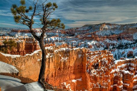 December: bryce canyon national park - rated a top ten national park to visit during winter.