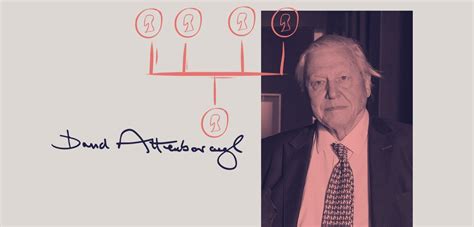 Journey from humble roots to national stardom with David Attenborough's family tree | Blog ...