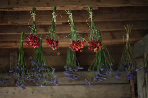 How To Dry Flowers ( 7 Methods To Preserve Your Blooms) - Farmhouse ...