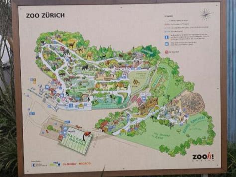 Zurich Zoo Map