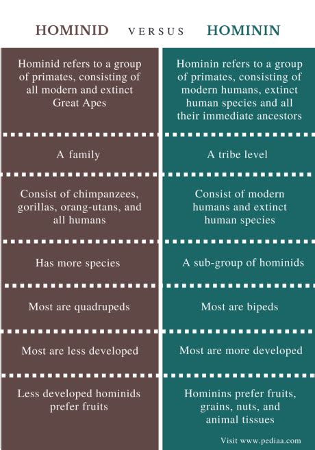 Difference Between Hominid and Hominin | Definition, Apes, Features