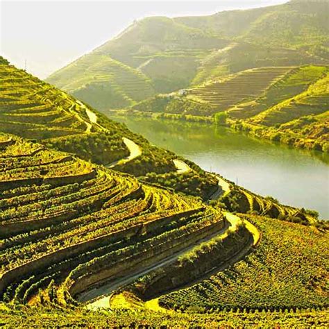 Wine Travel in Portugal - Premiere Tours