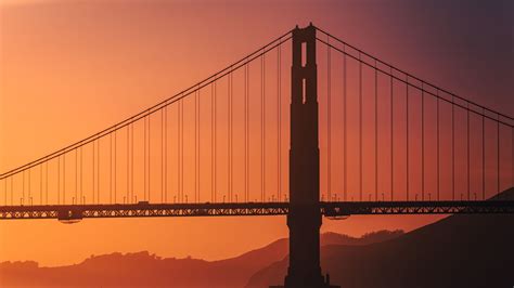 Day Around the Bay: Massive Great White Shark Spotted Near Golden Gate Bridge | San Francisco ...