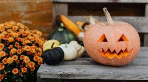 6 Useful Pumpkin Carving Tools For Halloween - Toolever