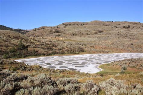 The Spotted Lake of Osoyoos ~ Kuriositas