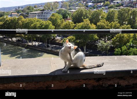 Old Town of Tiflis, Tbilisi, Georgia Stock Photo - Alamy