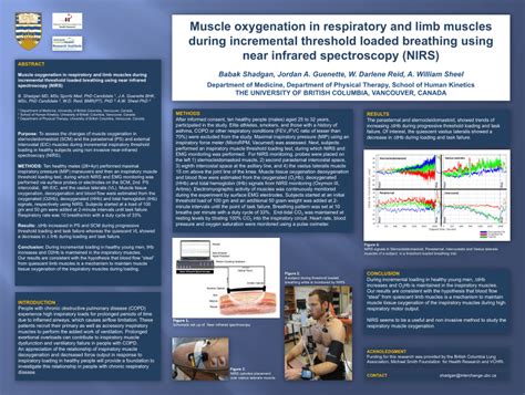 (PDF) Muscle oxygenation in respiratory and limb muscles during ...