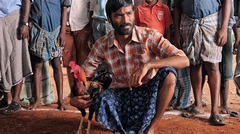 Aadukalam (2011) - Backdrops — The Movie Database (TMDB)