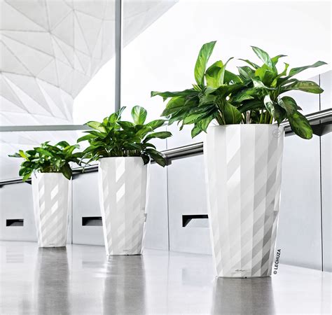 Striking white lechuza diamante planters. Available at newprocontainers.com. | Hanging planters ...