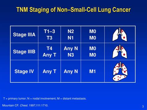 PPT - Non–Small-Cell Lung Cancer Diagnosis and Staging PowerPoint Presentation - ID:4408774