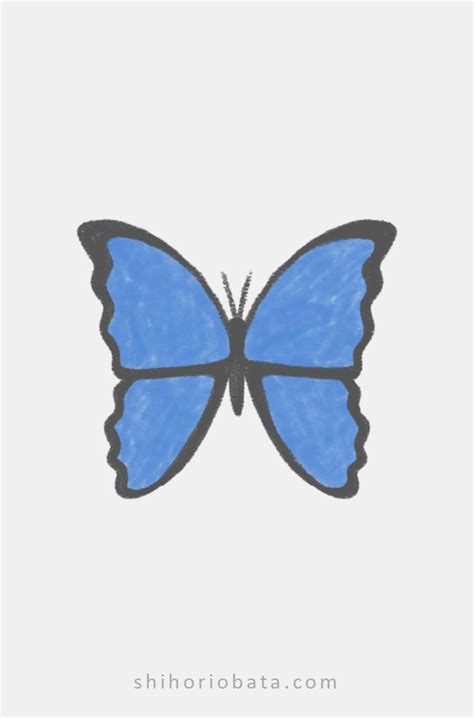 Simple Butterfly Drawing