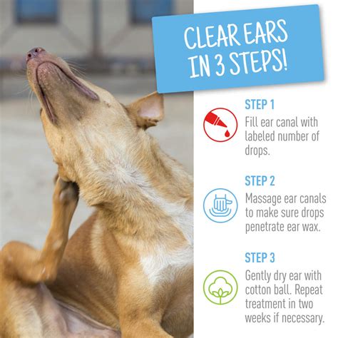 Ear Mites In Dogs Ear Mite Treatment Prevention In Dogs, 60% OFF