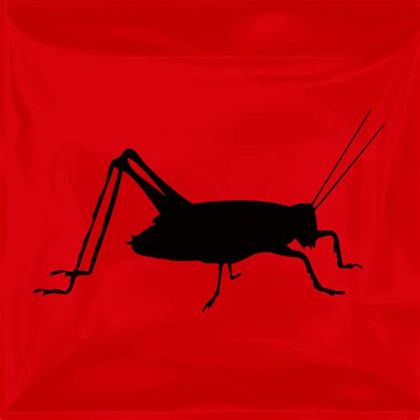 Pinhead Crickets (500 Per Box) | Shop Live Crickets Online at Rodent Pro