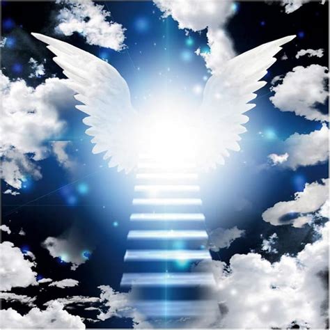 Amazon.com : DORCEV 7x7ft Heaven Angel Wing Backdrop dor Baby Shower ...