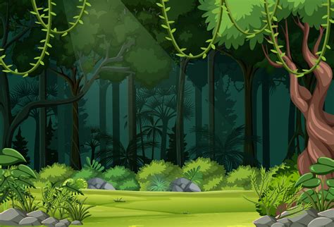 Nature forest landscape background 3478848 Vector Art at Vecteezy