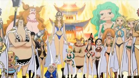 Amazon Lily | Việt One Piece Wiki | Fandom