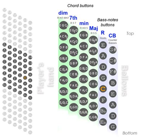 Accordion Chord Charts for Stradella Bass System Accordions