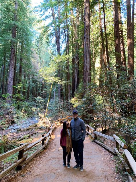 San Francisco to Muir Woods: A Day Trip to the Towering Redwoods