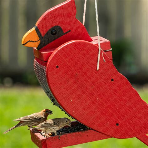 Cardinal-bird-feeder – UniqueBird.com