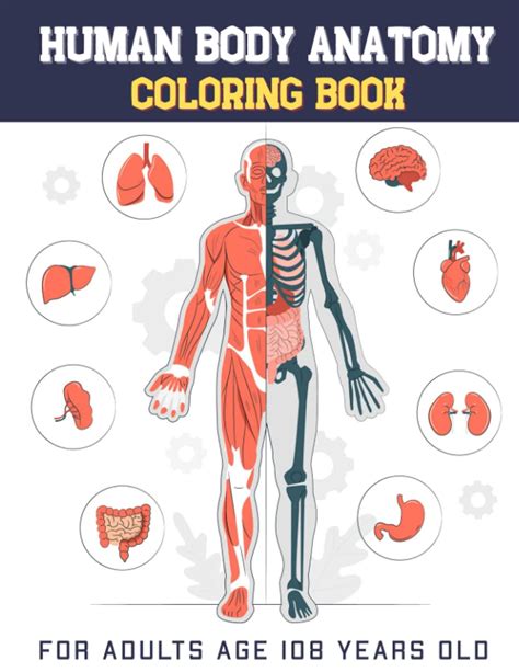 Buy Human Body Anatomy Coloring Book For Adults Age 108 Years Old: coloring book,Human Body ...