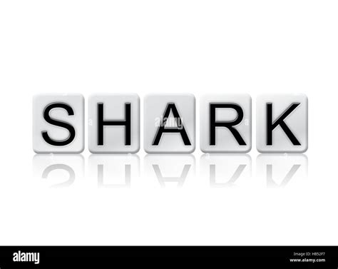 The word "Shark" written in tile letters isolated on a white background ...