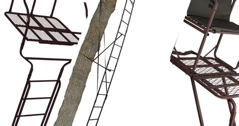 The 9 Best Treestands - Ladder reviews in 2021