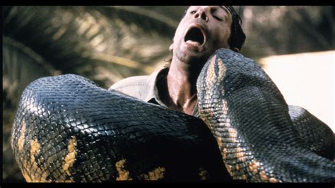 SHOCKING Giant Anaconda Eats Man Alive Biggest Snake In The World Giant Python Attacks Real ...