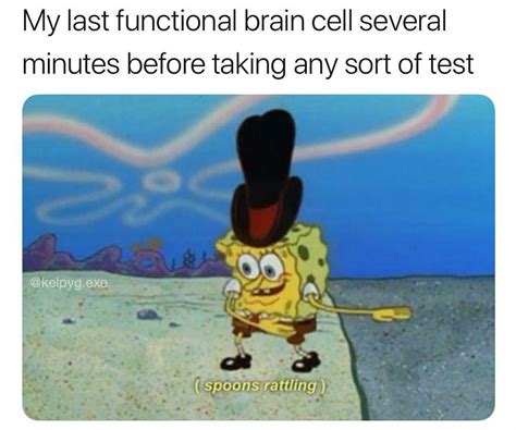 Anxiety as a meme : r/BikiniBottomTwitter