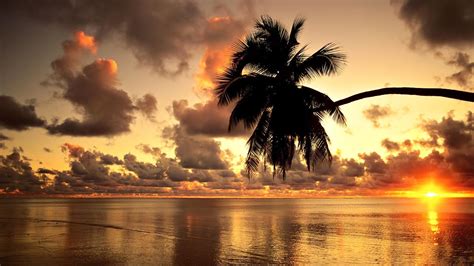 Tropical Sunset Wallpapers - Top Free Tropical Sunset Backgrounds ...