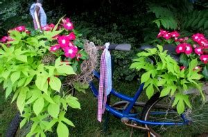 Creative DIY Bicycle Planter - The Owner-Builder Network