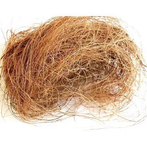 Brown Coconut Husk Fiber, For Mattress, Rope at Rs 120/kilogram in Chennai | ID: 14855390230